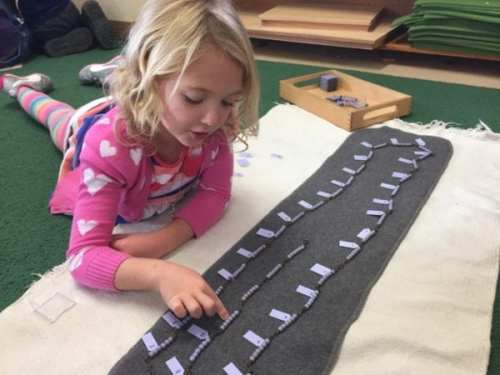 Baltimore Fishbowl Greenspring Montessori School And The Mathematical Mind